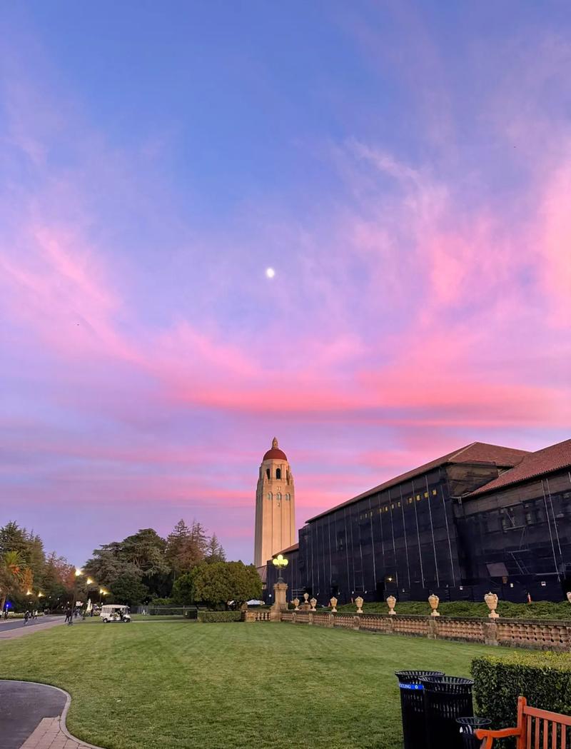 南佛罗里达大学